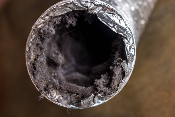 Best Ductwork Cleaning Services  in Angola, IN