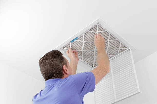 Best Affordable Duct Cleaning Services  in Angola, IN